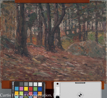 Charles Salis Kaelin (1858-1929), Fall Woodland Scene, ca. 1920, Oil painting on canvas board