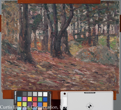 Charles Salis Kaelin (1858-1929), Fall Woodland Scene, ca. 1920, Oil painting on canvas board