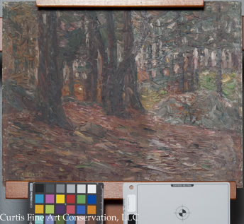 Charles Salis Kaelin (1858-1929), Fall Woodland Scene, ca. 1920, Oil painting on canvas board.  This image shows the unvarnished picture partially grime cleaned using specular light, which illustrates the paint surface\'s dramatic change in gloss as a result of grime removal.